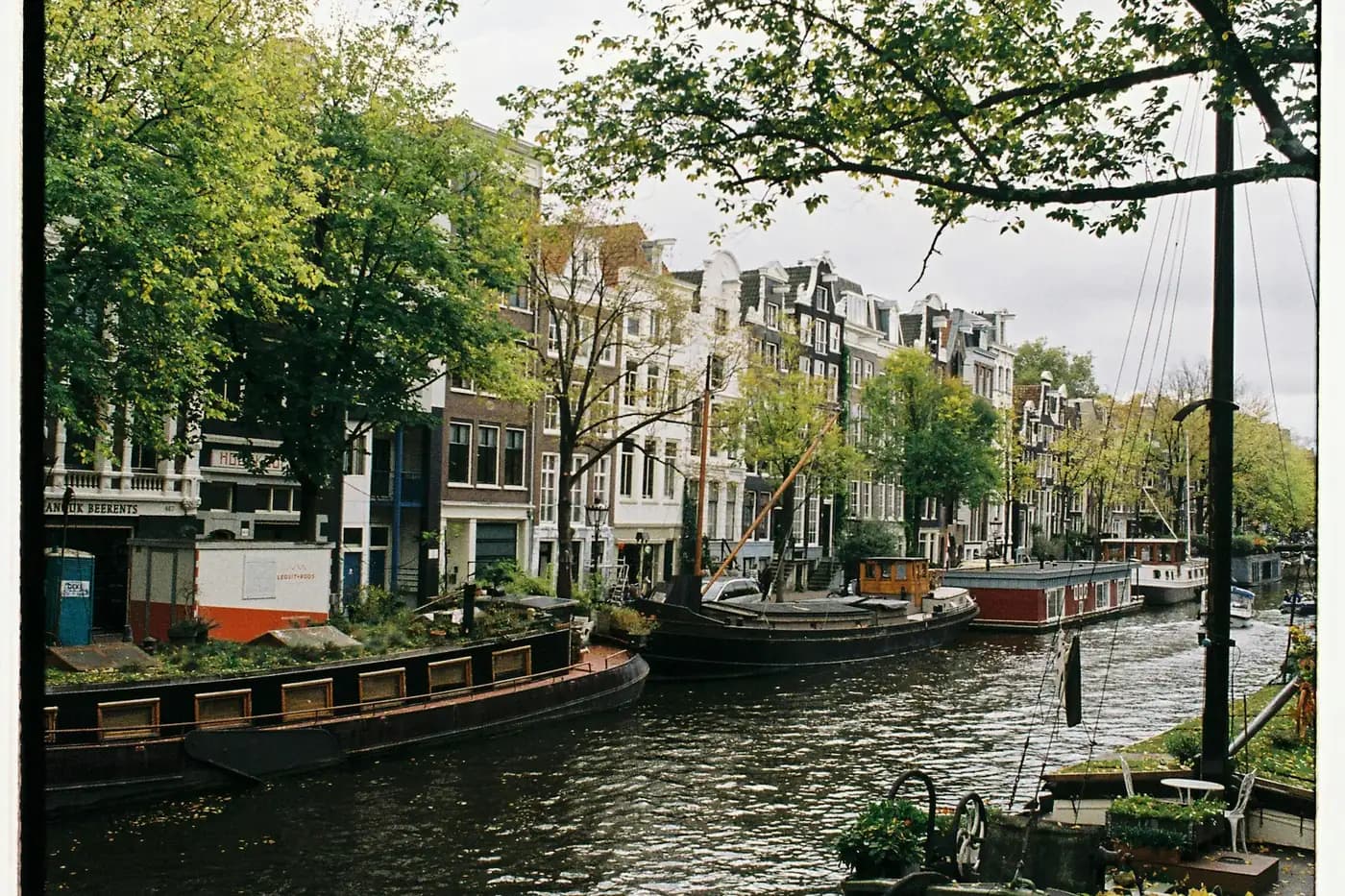 Amsterdamda kanal, sahilboyu ağaclar, evlər və qayıqlar